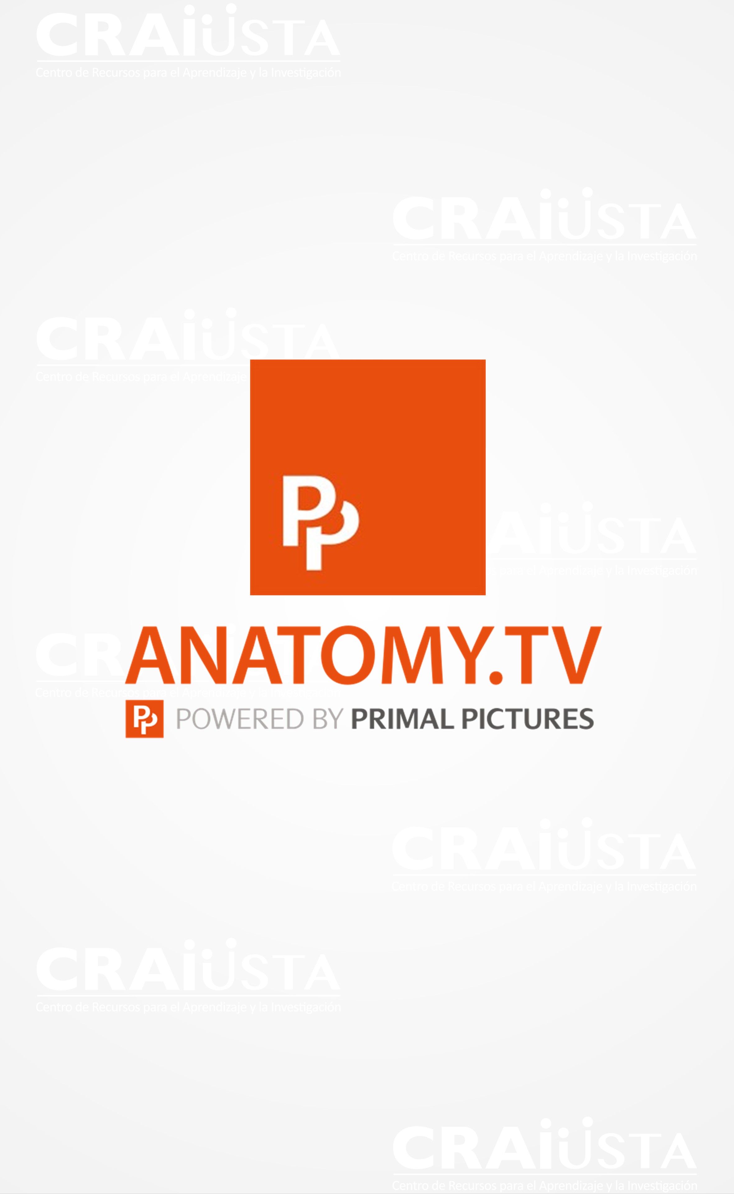 Primal Picture